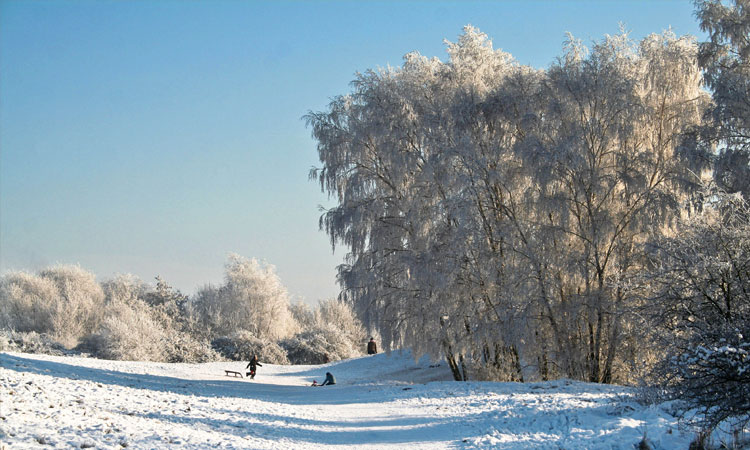 winter